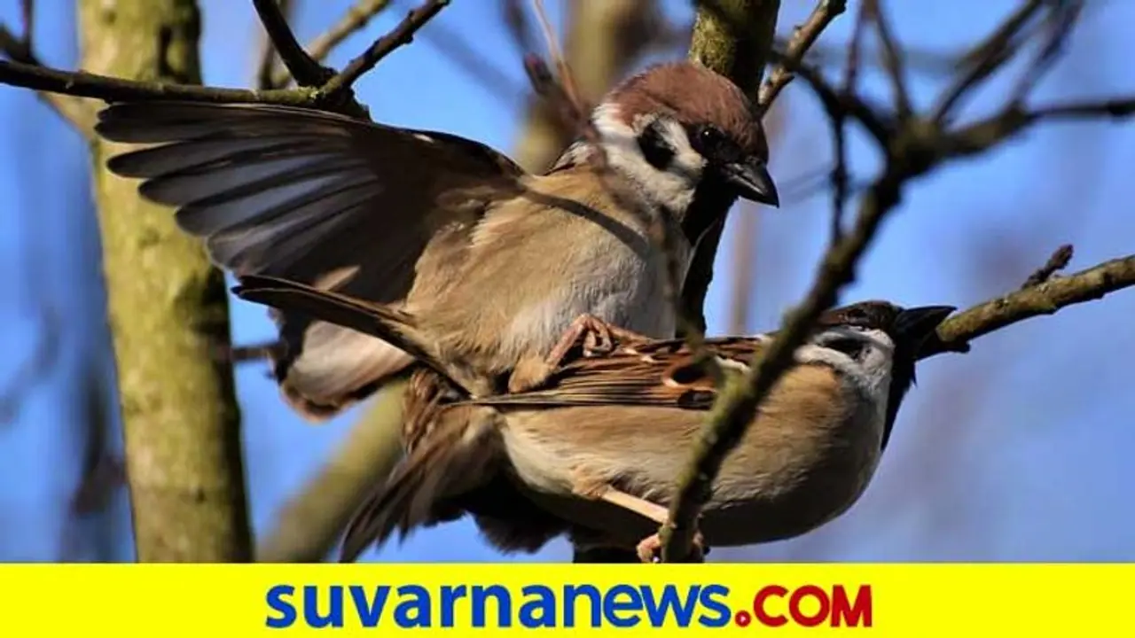 #Feelfree: ಆಪರೇಶನ್ ಮಾಡಿಸಿಕೊಂಡ್ರೆ ಸೆಕ್ಸ್ ಮೇಲೆ ಆಸಕ್ತಿ ಕಡಿಮೆಯಾಗುತ್ತಾ?