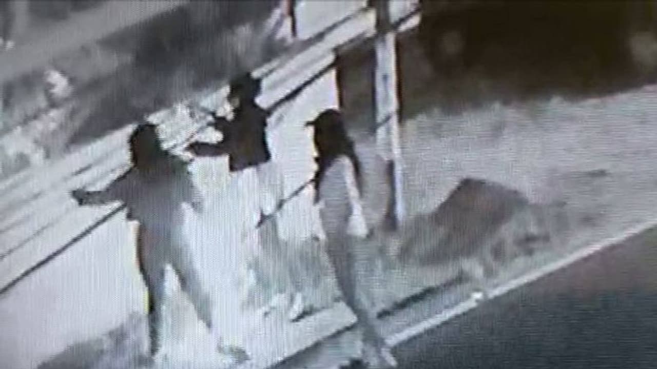 വീട്ടുവളപ്പില് നിന്ന് മൂന്ന് യുവതികള് ഫെയറി ലൈറ്റുകള് മോഷ്ടിച്ചതായി പരാതി വീട്ടുവളപ്പില് നിന്ന് മൂന്ന് യുവതികള് ഫെയറി ലൈറ്റുകള് മോഷ്ടിച്ചതായി പരാതി