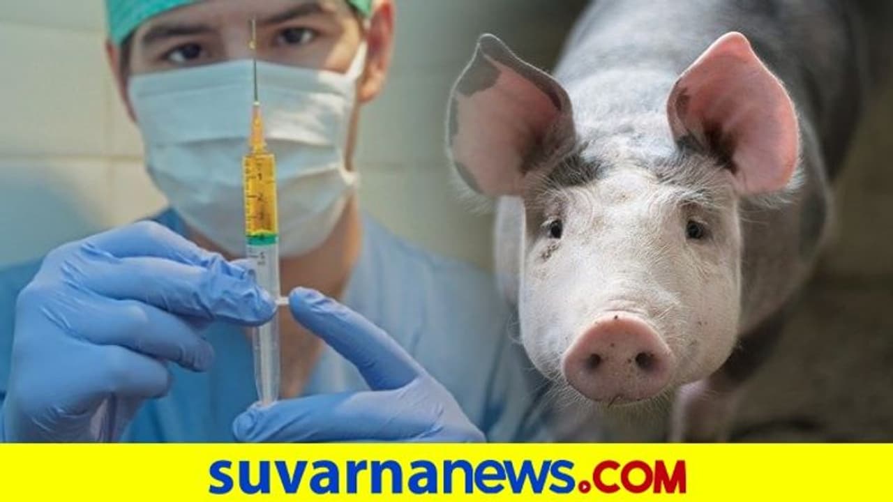 ‘ಫತ್ವಾ’ ಹೊರಡಿಸುವವರೆಗೆ ಕೋವಿಡ್ ಲಸಿಕೆ ಪಡೆಯಬೇಡಿ! ಮುಸ್ಲಿಮರಿಗೆ ದಾರುಲ್ ಉಲೂಂ ಮೌಲ್ವಿ ಕರೆ ‘ಫತ್ವಾ’ ಹೊರಡಿಸುವವರೆಗೆ ಕೋವಿಡ್ ಲಸಿಕೆ ಪಡೆಯಬೇಡಿ! ಮುಸ್ಲಿಮರಿಗೆ ದಾರುಲ್ ಉಲೂಂ ಮೌಲ್ವಿ ಕರೆ