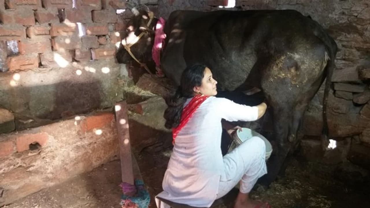 Rajasthan: Milkman’s daughter all set to become judge