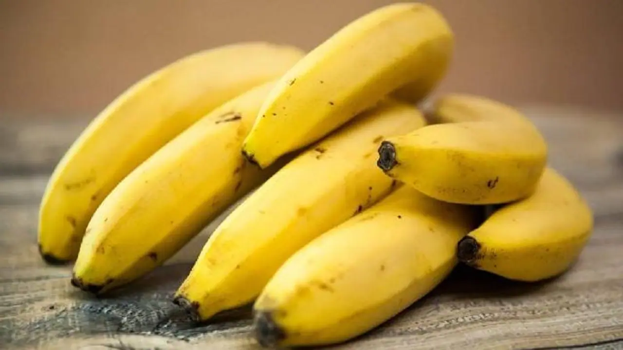 നേന്ത്രപ്പഴം ഈ അഞ്ച് രീതികളില് കഴിക്കാം, ഗുണം പലതാണ്; വീഡിയോ പങ്കുവച്ച് ന്യൂട്രീഷ്യനിസ്റ്റ് നേന്ത്രപ്പഴം ഈ അഞ്ച് രീതികളില് കഴിക്കാം, ഗുണം പലതാണ്; വീഡിയോ പങ്കുവച്ച് ന്യൂട്രീഷ്യനിസ്റ്റ്