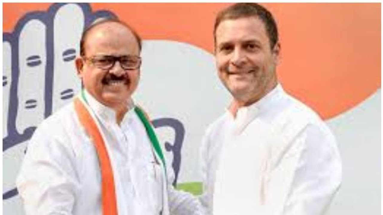 കോൺഗ്രസിന്റെ പരാജയത്തെക്കുറിച്ച് വിശദമായ ചർച്ച നടത്തും; കേരളത്തിന്റെ ചുമതലയുള്ള എഐസിസി ജനറല് സെക്രട്ടറി കോൺഗ്രസിന്റെ പരാജയത്തെക്കുറിച്ച് വിശദമായ ചർച്ച നടത്തും; കേരളത്തിന്റെ ചുമതലയുള്ള എഐസിസി ജനറല് സെക്രട്ടറി