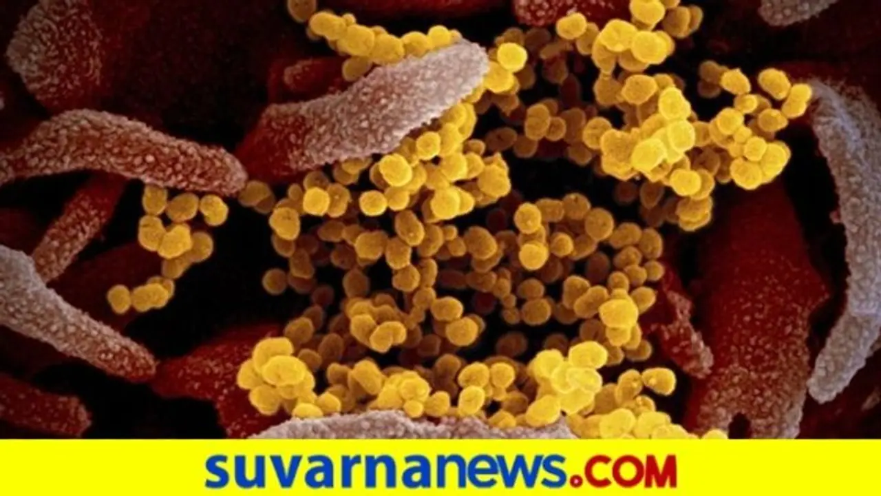 ರೂಪಾಂತರಗೊಂಡ ವೈರಸ್‌ ಭಾರತದಲ್ಲಿ ಮಾರ್ಚ್‌ನಲ್ಲೇ ಇತ್ತು: ಜೀನೋಮಿಕ್ಸ್