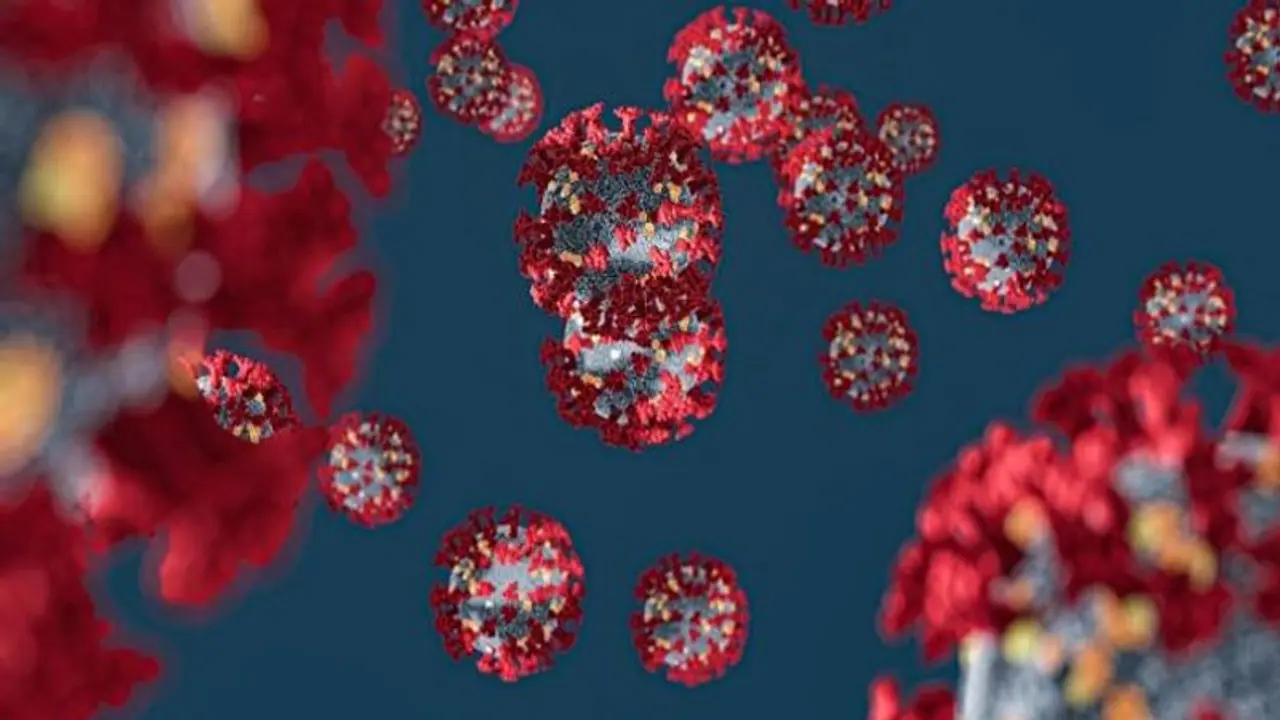 ভারতীয় কোভিড স্ট্রেইন বিশ্বের কাছে 'উদ্বেগজনক', সতর্ক করল বিশ্ব স্বাস্থ্য সংস্থা