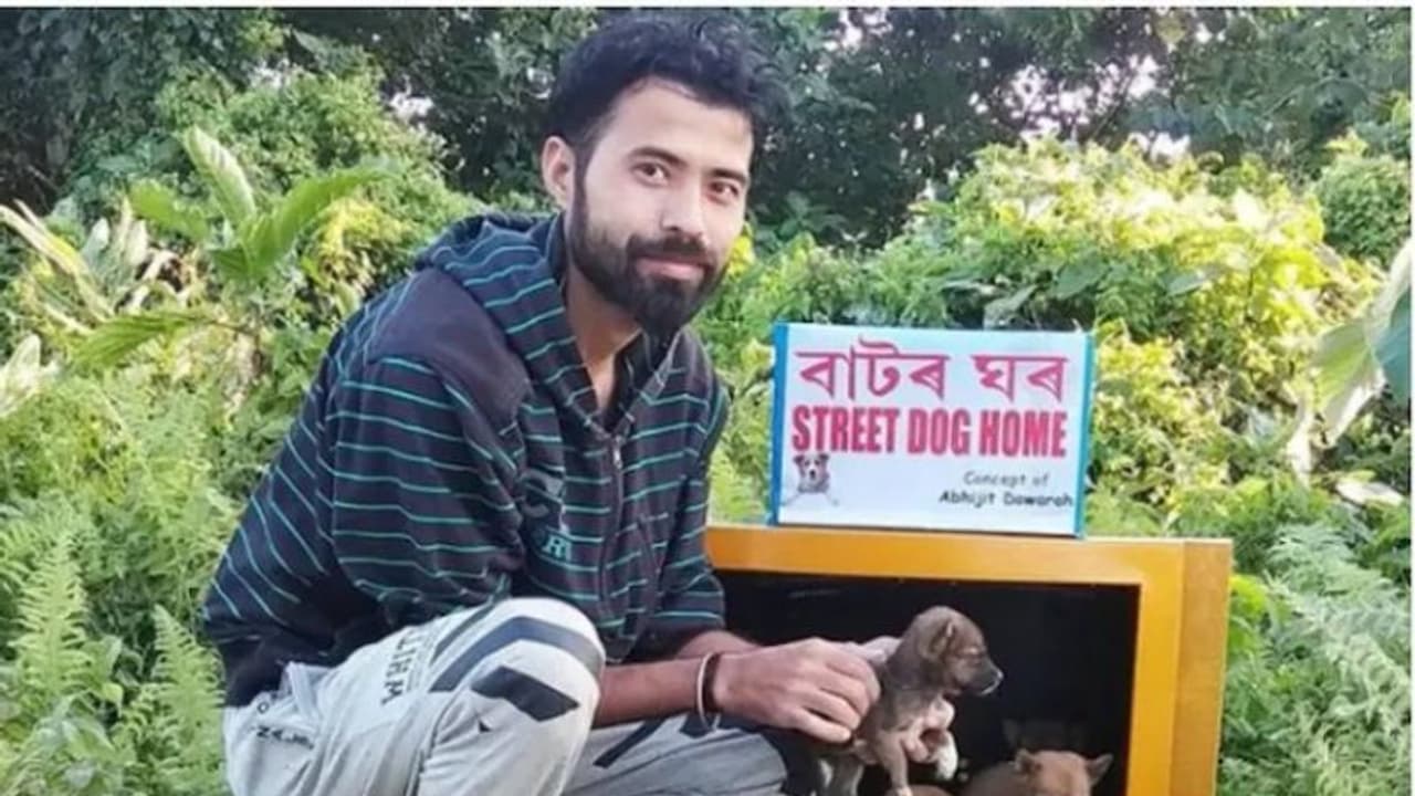 ഉപേക്ഷിക്കപ്പെട്ട ടിവി സെറ്റുകൊണ്ട് തെരുവ് നായകൾക്ക് വീടൊരുക്കി യുവാവ് ഉപേക്ഷിക്കപ്പെട്ട ടിവി സെറ്റുകൊണ്ട് തെരുവ് നായകൾക്ക് വീടൊരുക്കി യുവാവ്