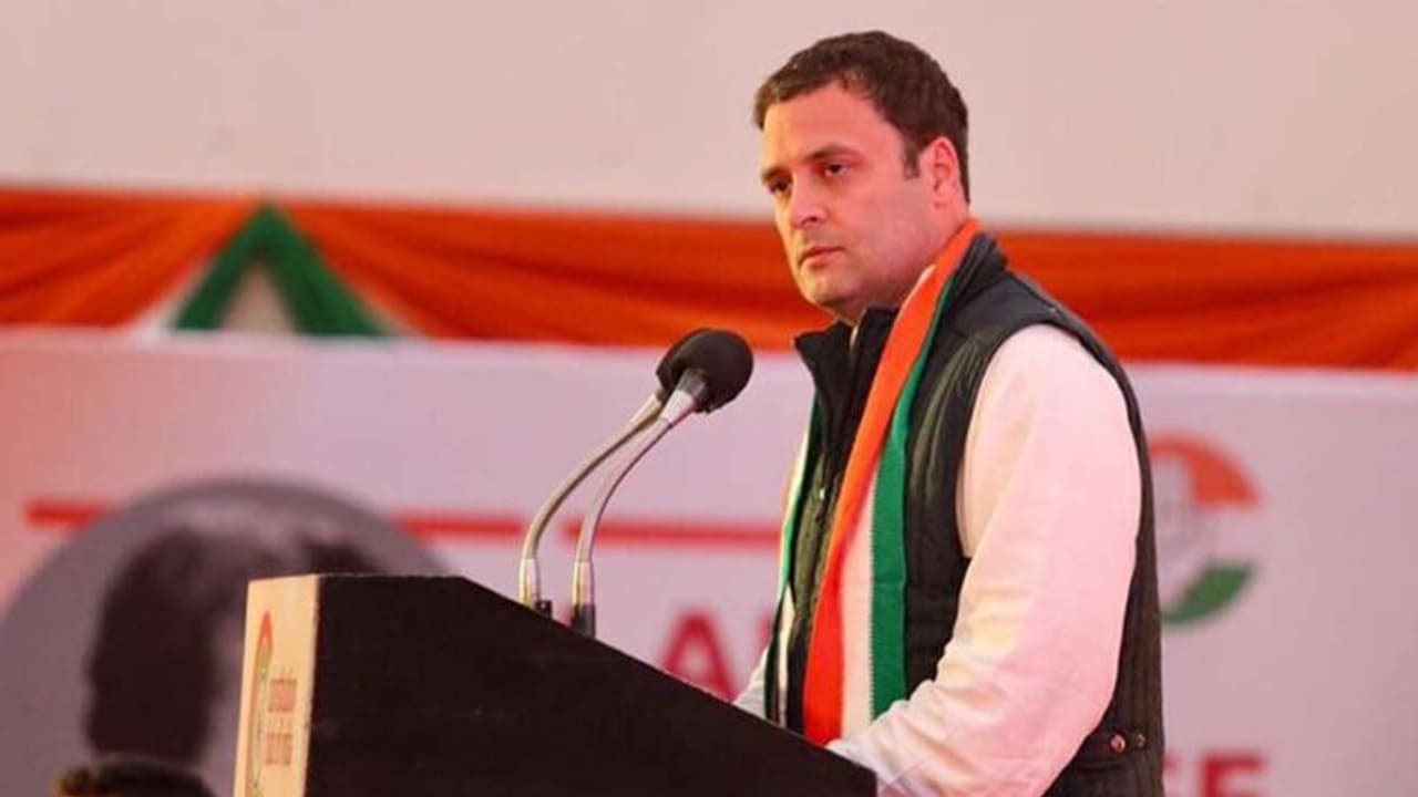 कांग्रेस के स्थापना दिवस से एक दिन पहले राहुल विदेश रवाना, गिरिराज सिंह ने कहा भारत में राहुल की छुट्टी खत्म कांग्रेस के स्थापना दिवस से एक दिन पहले राहुल विदेश रवाना, गिरिराज सिंह ने कहा भारत में राहुल की छुट्टी खत्म