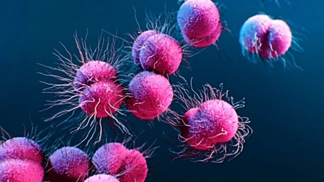 কোভিড ১৯'এর জেরে ফের মাথাচাড়া দিচ্ছে সুপার গনোরিয়া, সতর্ক করল বিশ্ব স্বাস্থ্য সংস্থা