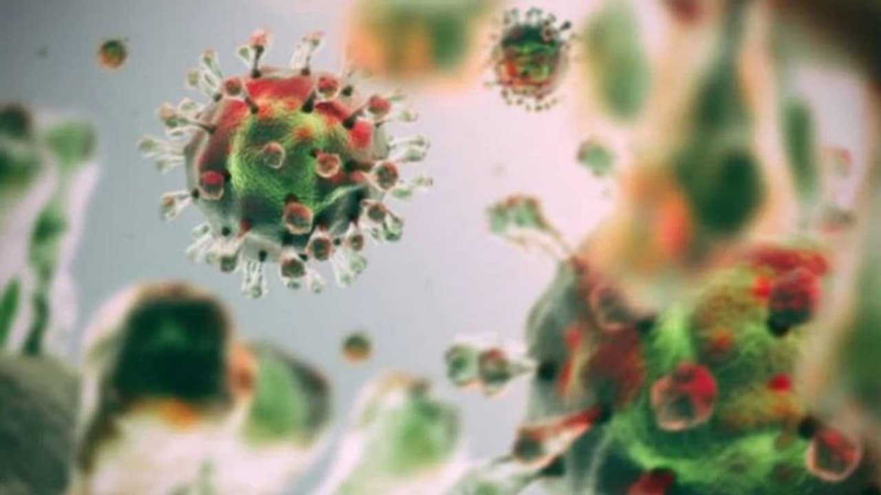 ದೇಶದಲ್ಲಿ 19 ರೂಪಾಂತರಿ ವೈರಸ್: ಕರ್ನಾಟಕದಲ್ಲೂ ಹರಡುತ್ತಿದೆ ಈ ಹೊಸ ತಳಿ! ದೇಶದಲ್ಲಿ 19 ರೂಪಾಂತರಿ ವೈರಸ್: ಕರ್ನಾಟಕದಲ್ಲೂ ಹರಡುತ್ತಿದೆ ಈ ಹೊಸ ತಳಿ!