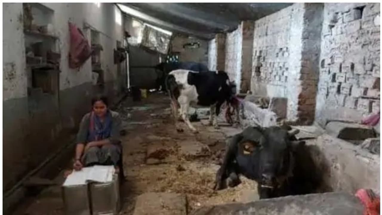 കോച്ചിം​ഗിനോ ട്യൂഷനോ പണമുണ്ടായില്ല, തളരാതെ പോരാടി, ജഡ്ജിയാവാൻ പാൽക്കാരന്റെ മകൾ!