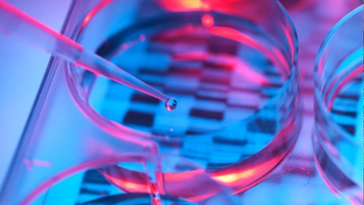 গঠিত হল ১০ সরকারি ল্যাবের কনসোর্টিয়াম, ইউকে করোনার আগমনে বাড়ছে জিনোম সিকোয়েন্সিং গঠিত হল ১০ সরকারি ল্যাবের কনসোর্টিয়াম, ইউকে করোনার আগমনে বাড়ছে জিনোম সিকোয়েন্সিং