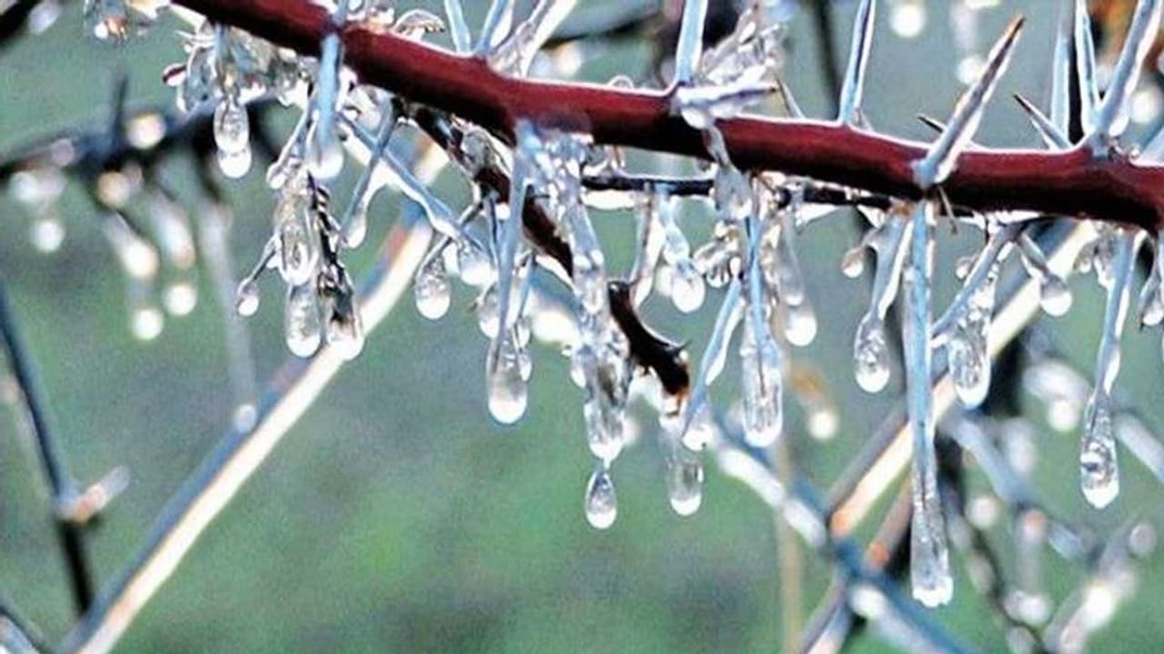 ১২১ বছরের উষ্ণতম জানুয়ারি, ২০২১ সালের প্রথম মাসেই আবহওয়ায় রেকর্ড ১২১ বছরের উষ্ণতম জানুয়ারি, ২০২১ সালের প্রথম মাসেই আবহওয়ায় রেকর্ড