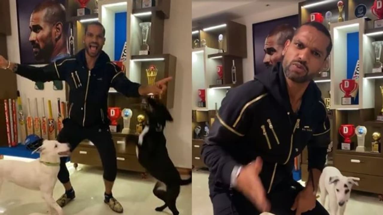 পোষ্যদের সঙ্গে তুমুল নাচ শিখর ধওয়ানের, দেখুন মজাদার সেই ভাইরাল ভিডিও পোষ্যদের সঙ্গে তুমুল নাচ শিখর ধওয়ানের, দেখুন মজাদার সেই ভাইরাল ভিডিও