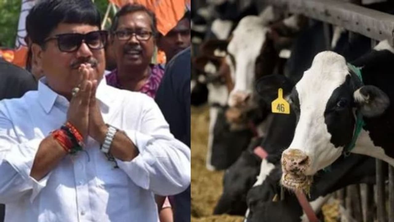 'গরু পাচার করে টাকা নেন ', বিনয় মিশ্র সহ 'ভাইপোর' নাম তুলে আক্রমণ অর্জুনের 'গরু পাচার করে টাকা নেন ', বিনয় মিশ্র সহ 'ভাইপোর' নাম তুলে আক্রমণ অর্জুনের