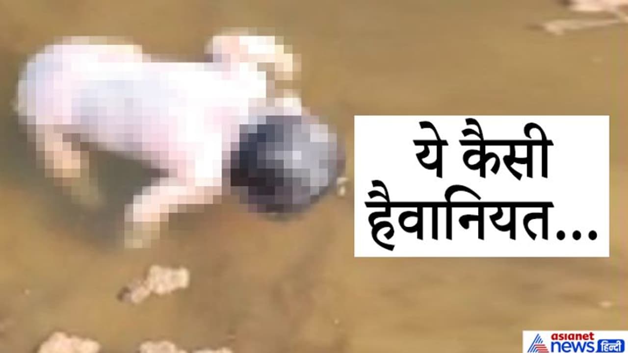 नए साल के एक दिन पहले राजस्थान से सामने आई शर्मनाक तस्वीर, नवजात को यूं जानवरों की तरह फेंक दिया नए साल के एक दिन पहले राजस्थान से सामने आई शर्मनाक तस्वीर, नवजात को यूं जानवरों की तरह फेंक दिया