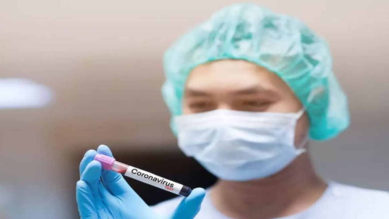 ఏపీలో భారీగా తగ్గిన కరోనా కేసులు: మొత్తం 8,87,010కి చేరిక ఏపీలో భారీగా తగ్గిన కరోనా కేసులు: మొత్తం 8,87,010కి చేరిక