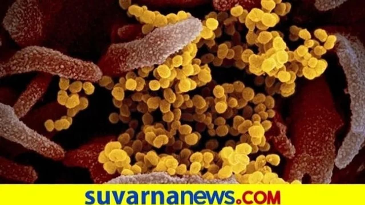 ಬ್ರಿಟನ್ನಿಂದ ಬಂದ ಐವರಿಗೆ ಕೊರೋನಾ: ಇದು ಹೈಸ್ಪೀಡ್ ವೈರಸ್ಸಾ..? ಬ್ರಿಟನ್ನಿಂದ ಬಂದ ಐವರಿಗೆ ಕೊರೋನಾ: ಇದು ಹೈಸ್ಪೀಡ್ ವೈರಸ್ಸಾ..?