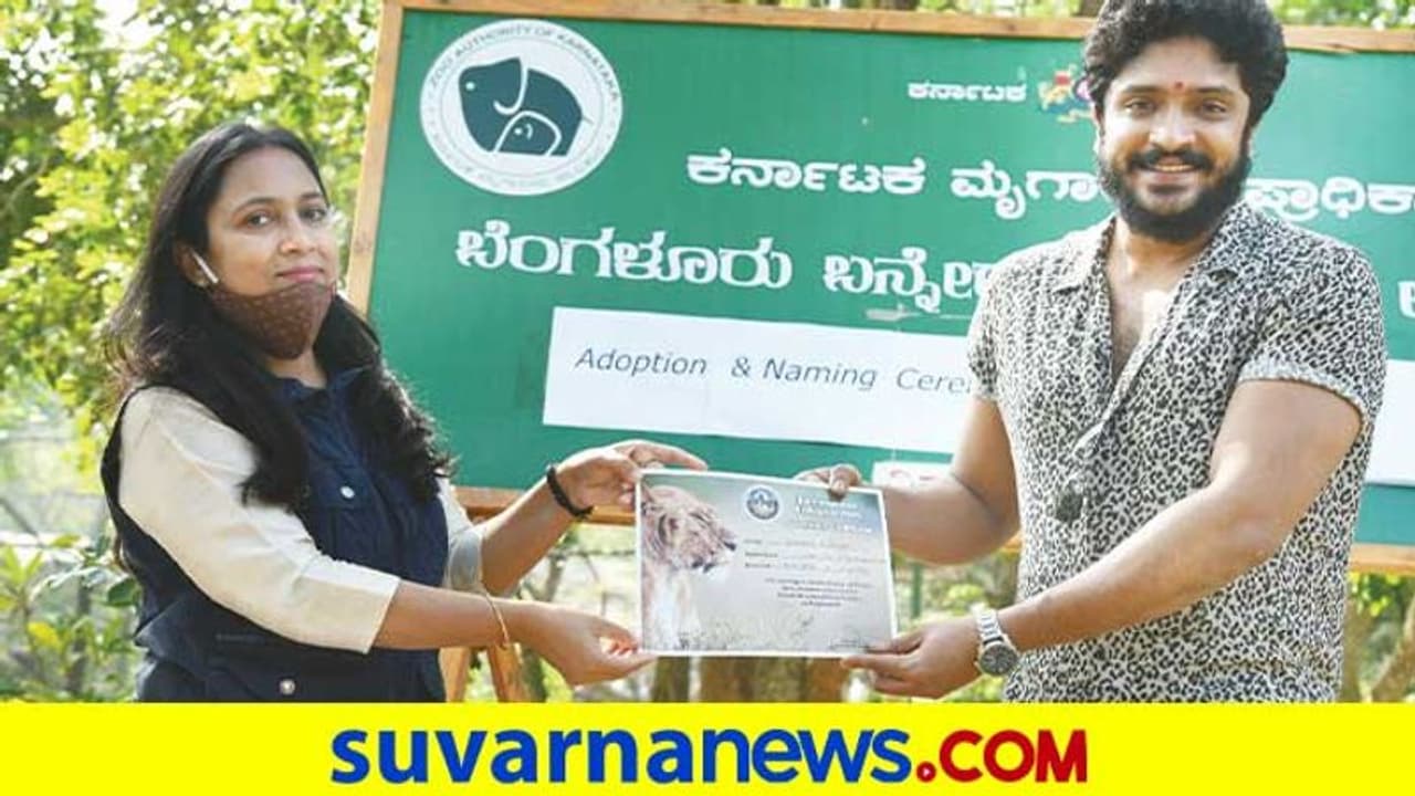 ಅಣ್ಣಾವ್ರ ಹುಟ್ಟುಹಬ್ಬದಂದು ಜನಿಸಿದ ಸಿಂಹದ ಮರಿ ದತ್ತು ಪಡೆದ ವಸಿಷ್ಠ ಸಿಂಹ! ಅಣ್ಣಾವ್ರ ಹುಟ್ಟುಹಬ್ಬದಂದು ಜನಿಸಿದ ಸಿಂಹದ ಮರಿ ದತ್ತು ಪಡೆದ ವಸಿಷ್ಠ ಸಿಂಹ!