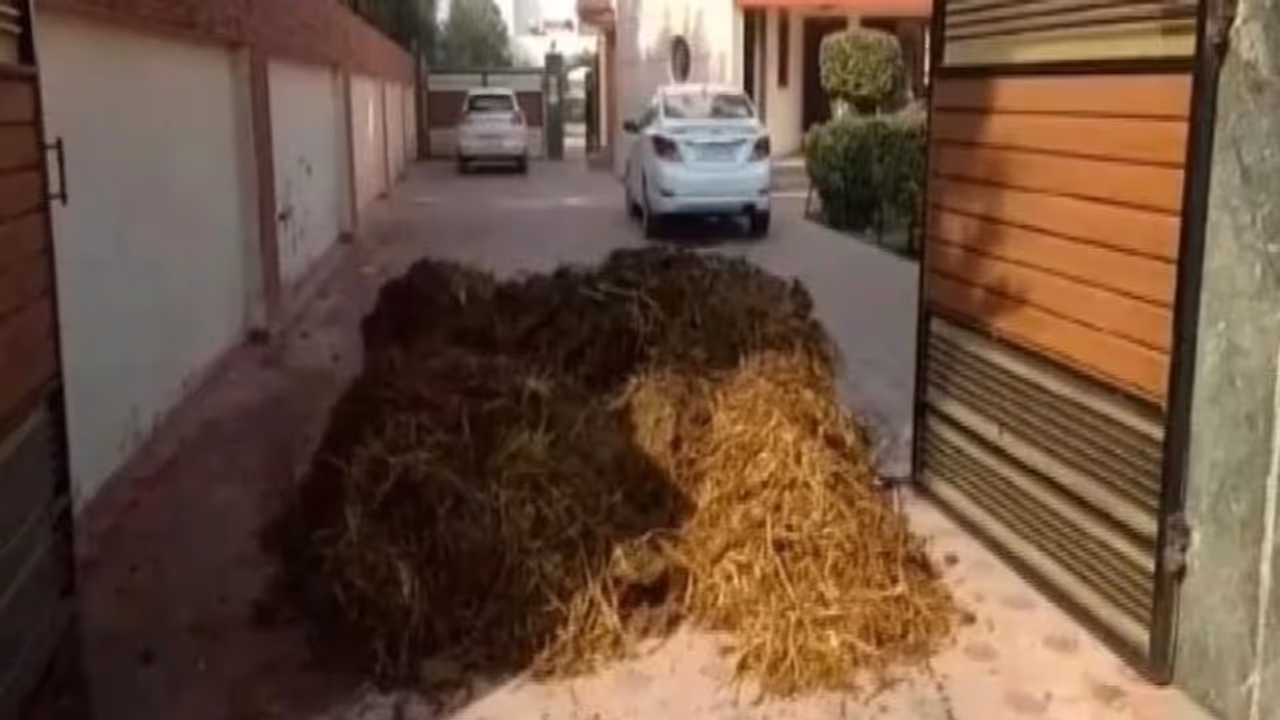 കർഷക സമരത്തിന് പിന്തുണ; പഞ്ചാബിലെ ബിജെപി നേതാവിന്റെ ​ഗേറ്റിന് മുന്നിൽ ചാണകം തള്ളി പ്രതിഷേധക്കാർ