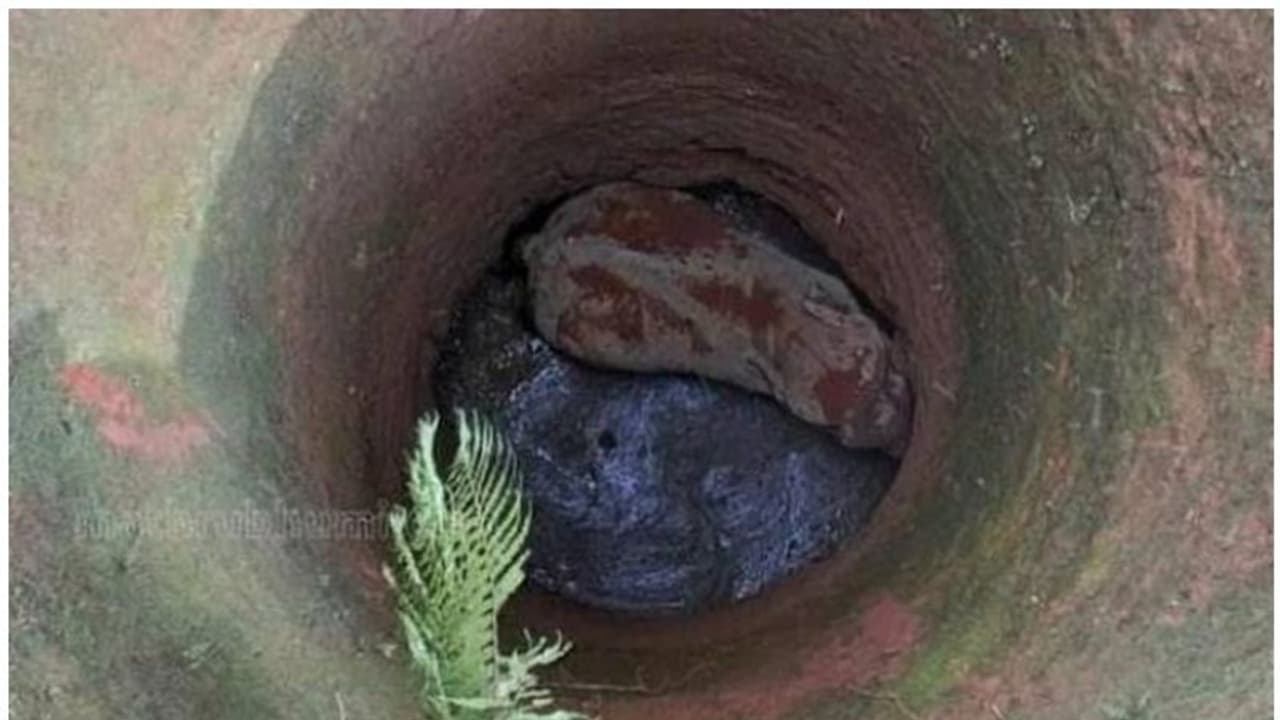 ആനക്കാംപൊയിലില് കിണറ്റില് നിന്ന് രക്ഷിച്ച ആന അവശനിലയില് ആനക്കാംപൊയിലില് കിണറ്റില് നിന്ന് രക്ഷിച്ച ആന അവശനിലയില്