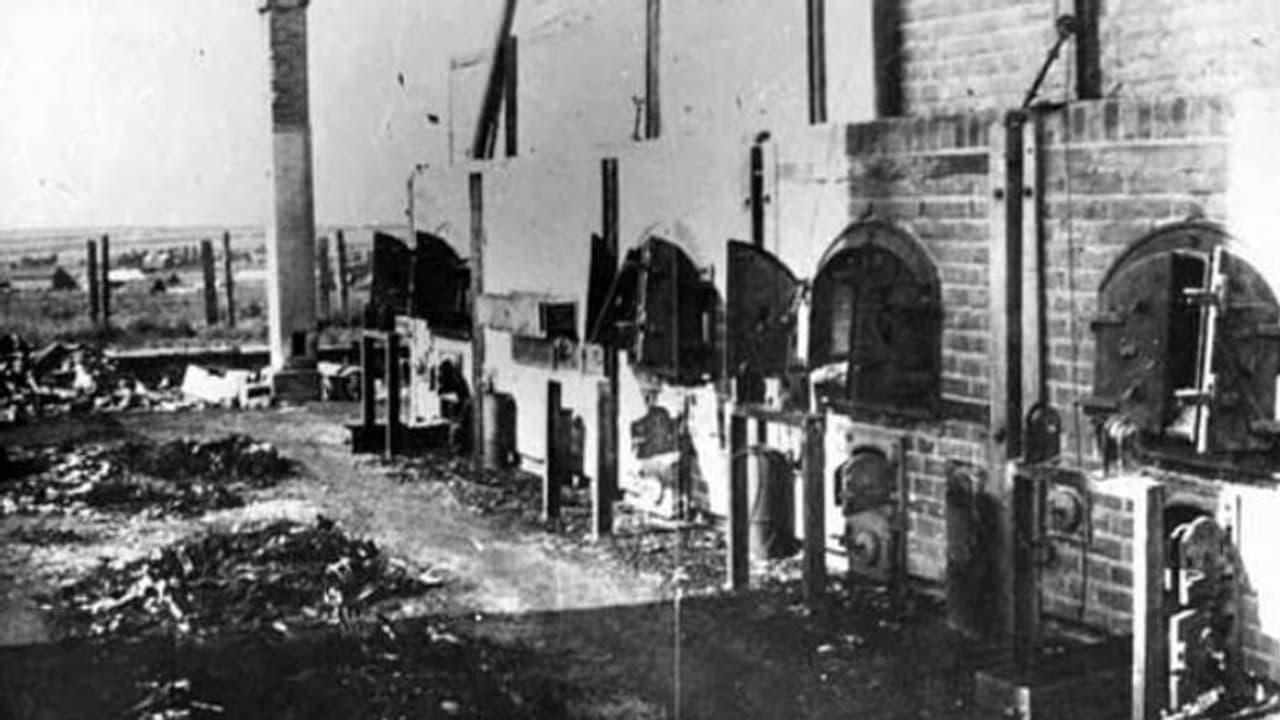 '56 വർഷങ്ങൾക്ക് ശേഷവും വംശഹത്യയുടെ ഓർമ്മയിൽ എന്റെ മുത്തശ്ശി പൊട്ടിക്കരയുകയായിരുന്നു...' '56 വർഷങ്ങൾക്ക് ശേഷവും വംശഹത്യയുടെ ഓർമ്മയിൽ എന്റെ മുത്തശ്ശി പൊട്ടിക്കരയുകയായിരുന്നു...'