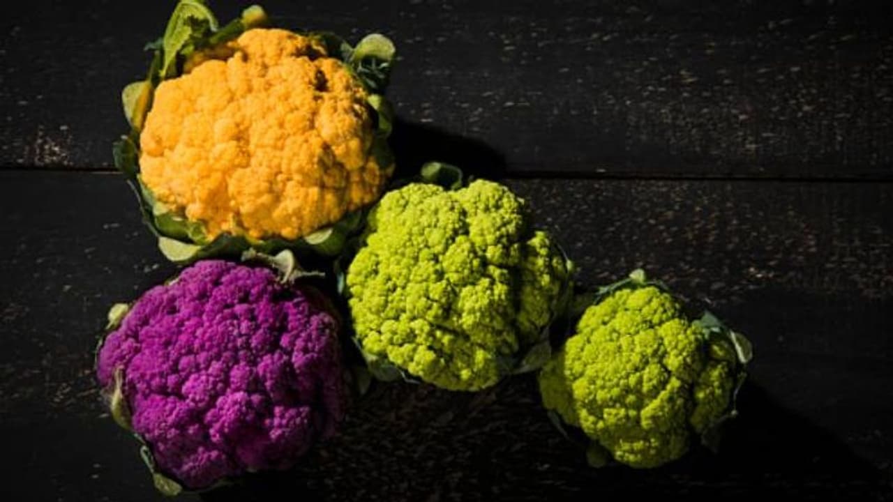 കോളിഫ്ലവര് പലനിറങ്ങളില്; ഗ്രോബാഗിലും വീട്ടുപറമ്പിലും വളര്ത്താം കോളിഫ്ലവര് പലനിറങ്ങളില്; ഗ്രോബാഗിലും വീട്ടുപറമ്പിലും വളര്ത്താം