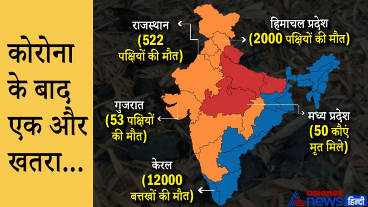 5 राज्यों में बर्ड फ्लू का खतरा, कहीं 12,000 तो कहीं 2000 पक्षियों की मौत, जानें इंसानों पर क्या असर पड़ेगा? 5 राज्यों में बर्ड फ्लू का खतरा, कहीं 12,000 तो कहीं 2000 पक्षियों की मौत, जानें इंसानों पर क्या असर पड़ेगा?