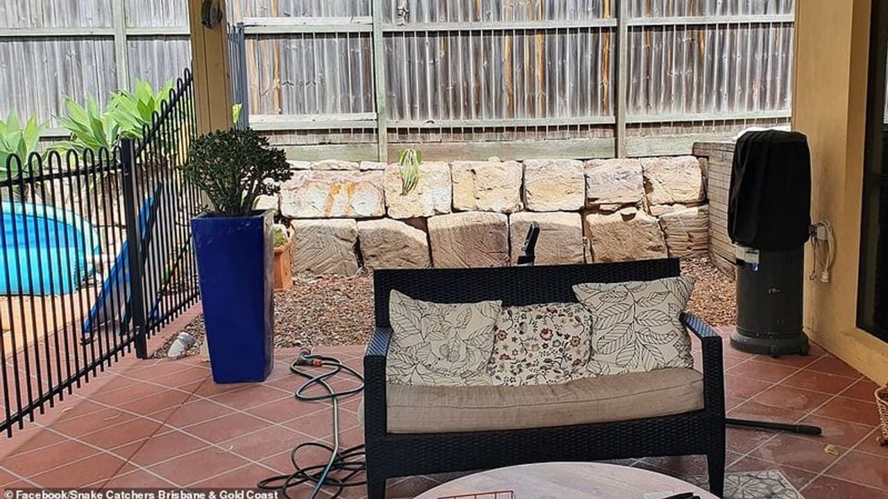 ലോകത്തെ ഏറ്റവും വിഷമുള്ള പാമ്പുകളിലൊന്ന് ഈ ചിത്രത്തിലുണ്ട്, കണ്ടെത്താമോ? ലോകത്തെ ഏറ്റവും വിഷമുള്ള പാമ്പുകളിലൊന്ന് ഈ ചിത്രത്തിലുണ്ട്, കണ്ടെത്താമോ?