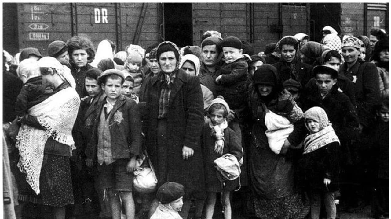 രണ്ടാം ലോകമഹായുദ്ധത്തിനുശേഷം തടങ്കൽ പാളയങ്ങളിൽ നിന്ന് മോചിപ്പിച്ച ആളുകൾക്ക് പിന്നീട് സംഭവിച്ചത്?