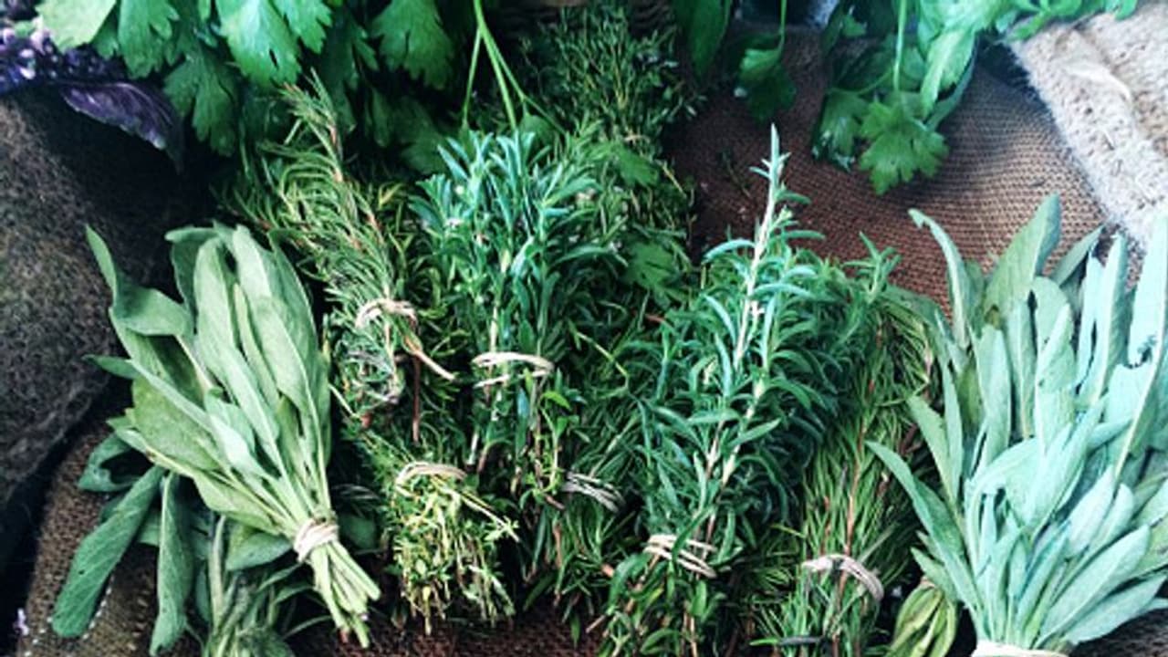 বর্ষায় এসব ভেষজের সাহায্যে সুস্থ থাকুন, অনেক রোগ থাকবে দূরে বর্ষায় এসব ভেষজের সাহায্যে সুস্থ থাকুন, অনেক রোগ থাকবে দূরে