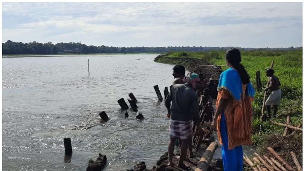 കിഴക്കൻ വെള്ളത്തിന്റെ വരവില് ചെന്നിത്തലയിലെ പാടങ്ങളിൽ മടവീഴ്ച്ച കിഴക്കൻ വെള്ളത്തിന്റെ വരവില് ചെന്നിത്തലയിലെ പാടങ്ങളിൽ മടവീഴ്ച്ച