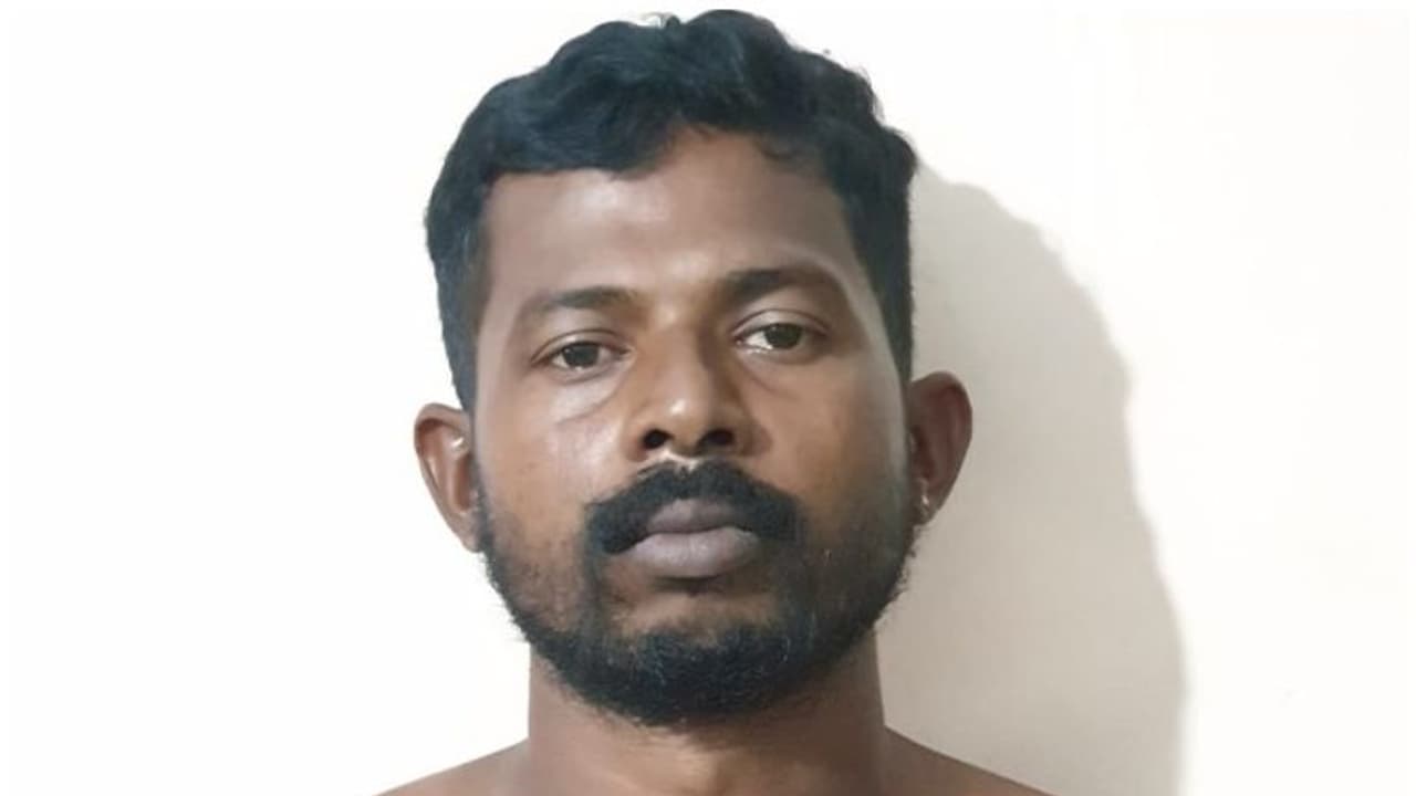 ആലപ്പുഴയിൽ നിന്ന് മോഷണം പോയ ലോറി മൂന്നാറിൽ നിന്ന് കണ്ടെത്തി പൊലീസ് ആലപ്പുഴയിൽ നിന്ന് മോഷണം പോയ ലോറി മൂന്നാറിൽ നിന്ന് കണ്ടെത്തി പൊലീസ്