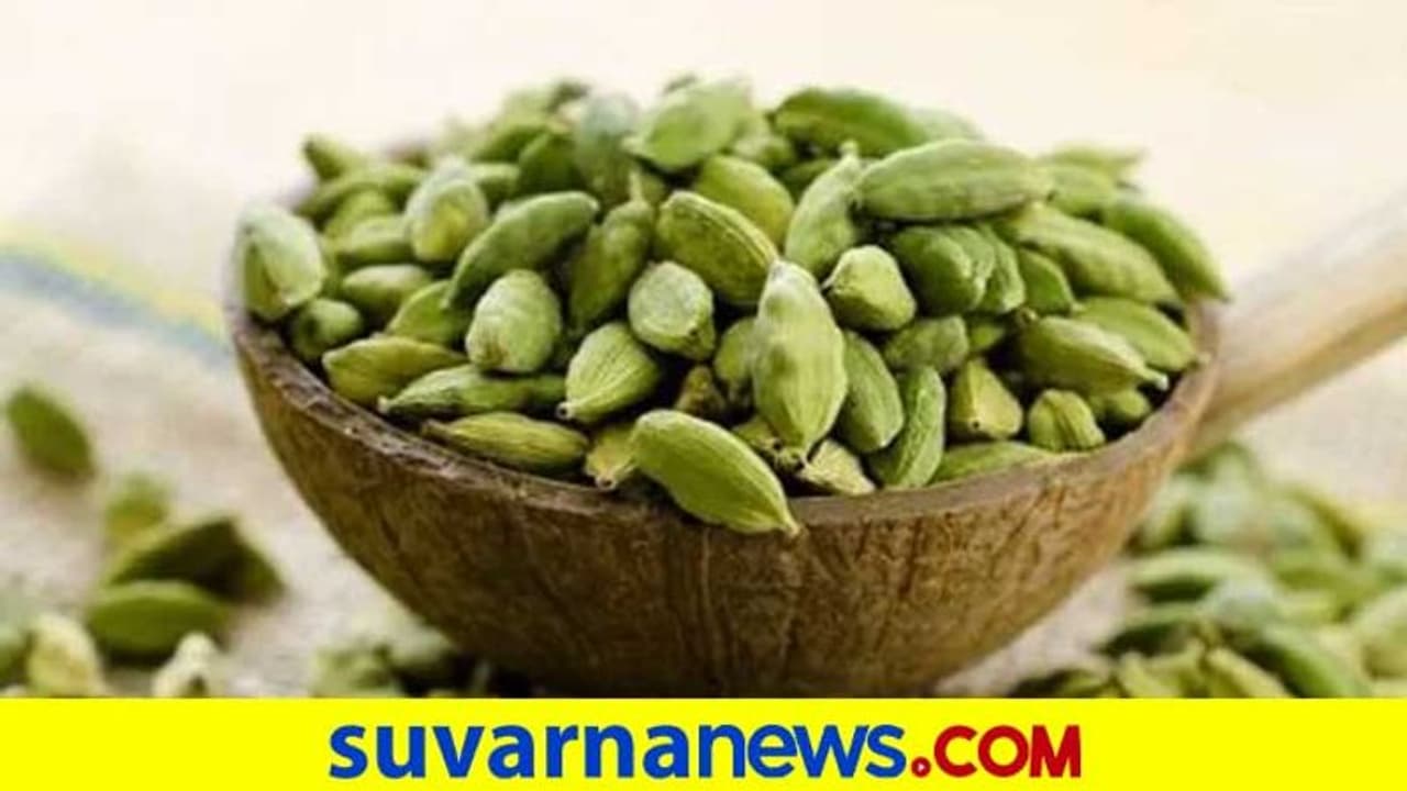 ಏಲಕ್ಕಿ ಉಪಯೋಗಿಸುವುದರಿಂದ ಎಷ್ಟೆಲ್ಲ Health Benefits ಇವೆ ಗೊತ್ತಾ? ಏಲಕ್ಕಿ ಉಪಯೋಗಿಸುವುದರಿಂದ ಎಷ್ಟೆಲ್ಲ Health Benefits ಇವೆ ಗೊತ್ತಾ?