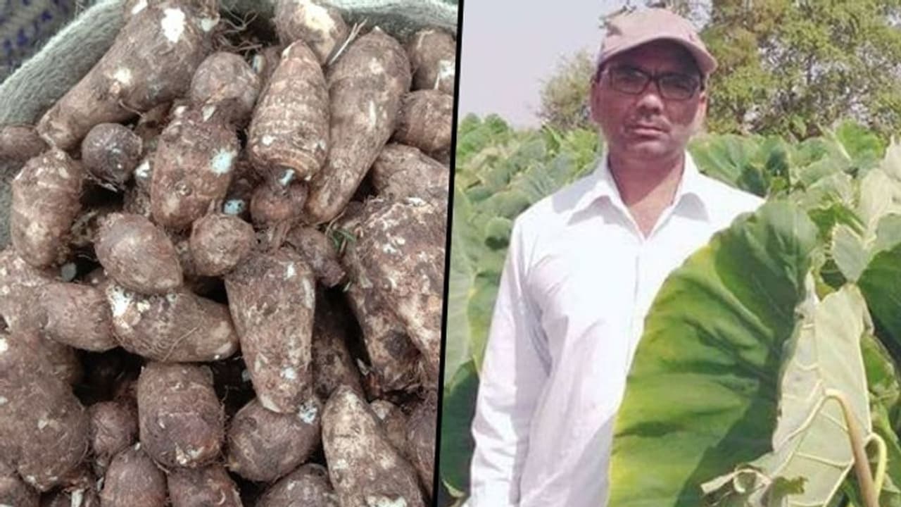 Financial troubles didn’t allow him to complete studies, but all thanks to farming, he earns in lakhs now!
