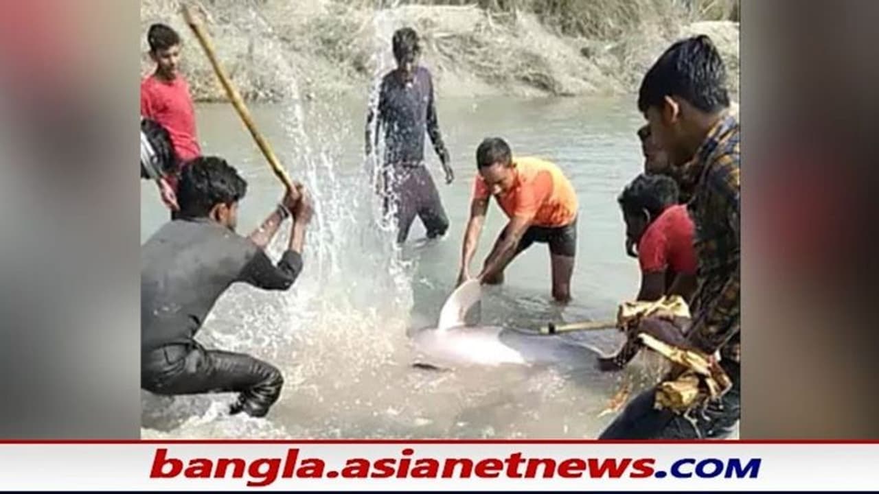 যোগী রাজ্যে ঘিরে ধরে পিটিয়ে কুপিয়ে নিরীহ শুশুক হত্যা, নিষ্ঠুর ভিডিও হল ভাইরাল