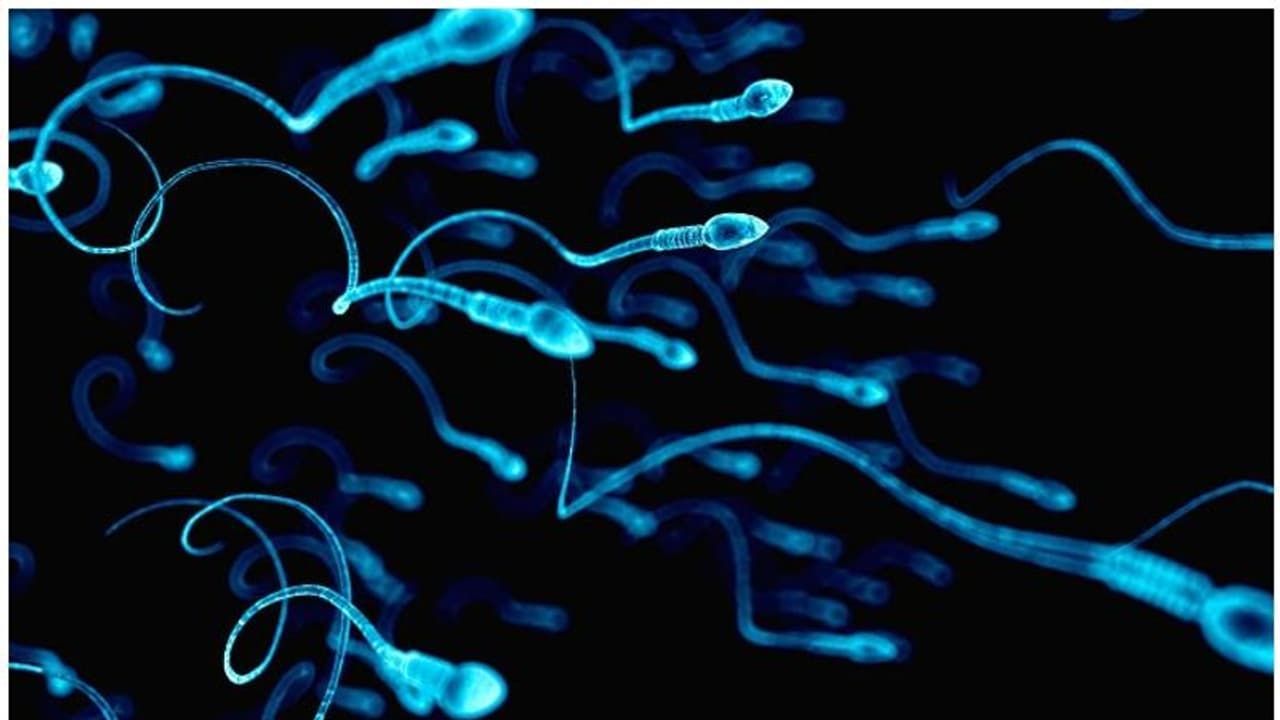 പുരുഷന്മാരുടെ ശ്രദ്ധയ്ക്ക്; ഈ നാല് ഭക്ഷണങ്ങൾ 'സ്പേം കൗണ്ട്' കുറയ്ക്കും