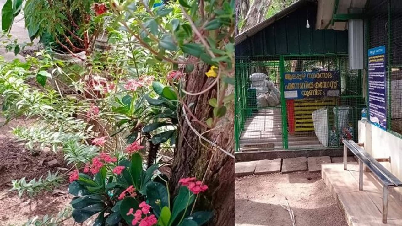 'ഇവിടം സ്വർഗമാണ്'; മനസുണ്ടെങ്കിൽ മാലിന്യകേന്ദ്രവും ഉദ്യാനമാകും, ആലപ്പുഴയിലെ സുന്ദരമായ കാഴ്ച 'ഇവിടം സ്വർഗമാണ്'; മനസുണ്ടെങ്കിൽ മാലിന്യകേന്ദ്രവും ഉദ്യാനമാകും, ആലപ്പുഴയിലെ സുന്ദരമായ കാഴ്ച