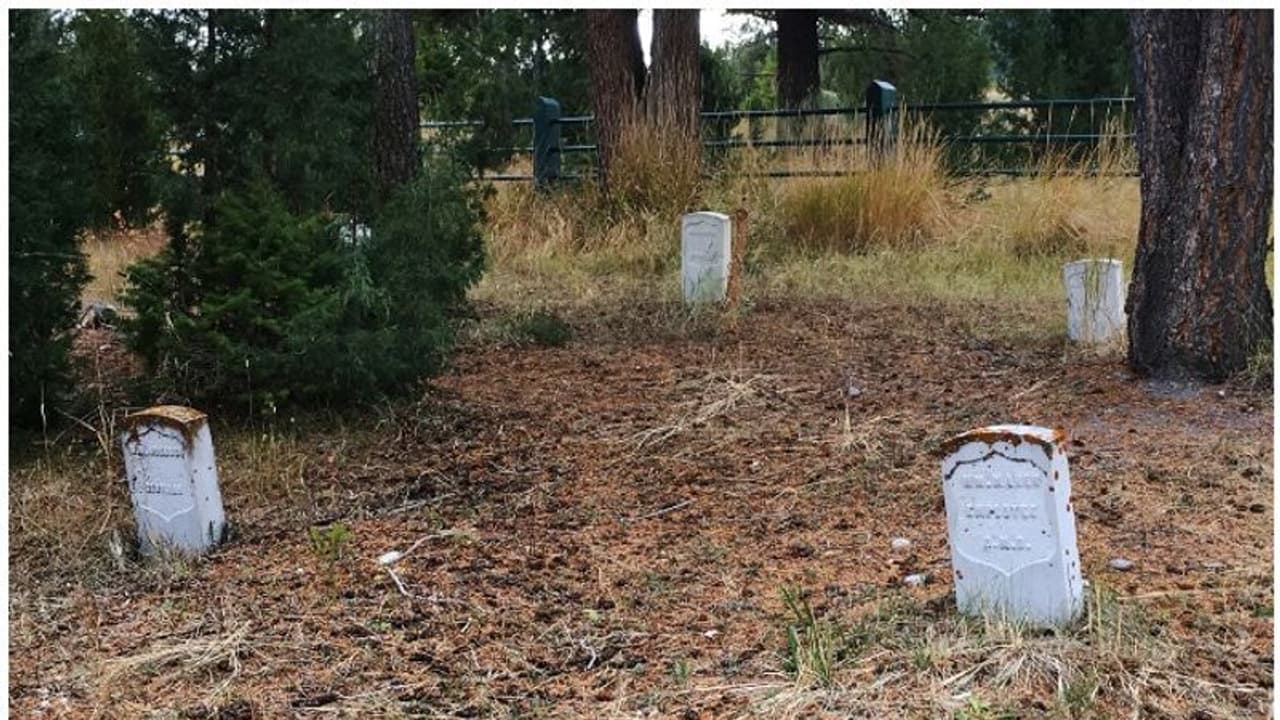അതിഗൂഢമായ നിധി കണ്ടെത്താനുള്ള ശ്രമത്തിനിടെ സെമിത്തേരി കുഴിച്ചു, നിധിവേട്ടക്കാരന് 12 വർഷം തടവ് ശിക്ഷ അതിഗൂഢമായ നിധി കണ്ടെത്താനുള്ള ശ്രമത്തിനിടെ സെമിത്തേരി കുഴിച്ചു, നിധിവേട്ടക്കാരന് 12 വർഷം തടവ് ശിക്ഷ
