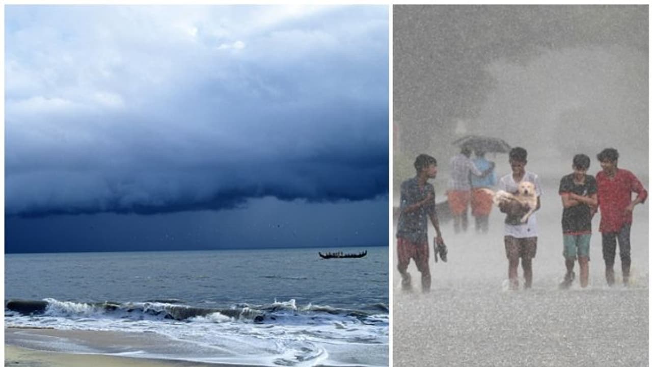 ഒരു നൂറ്റാണ്ടിനിടെ ഏറ്റവും കൂടുതൽ മഴ കിട്ടിയ ജനുവരി, കേരളം കടന്നുപോകുന്നത് എന്തിലൂടെ?