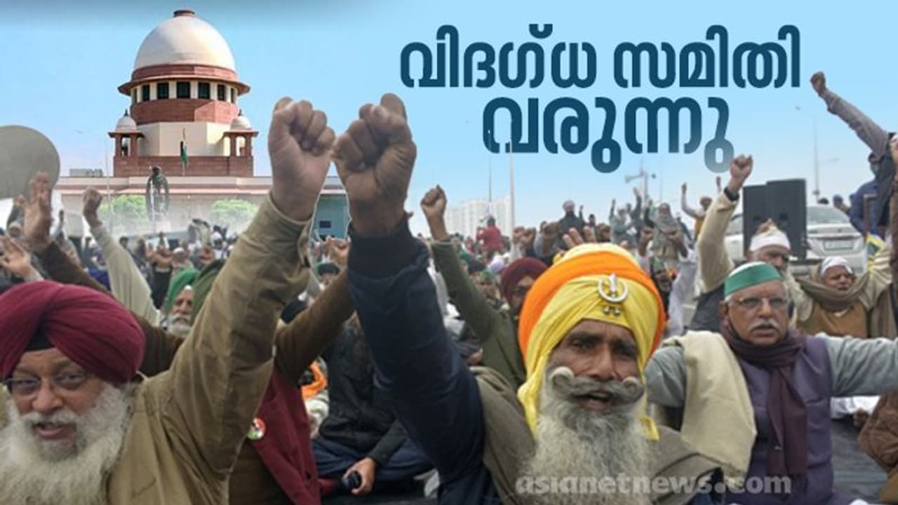 കാര്ഷിക നിയമ ഭേദഗതി:വിദഗ്ധ സമിതിയെന്ന സുപ്രീംകോടതി നിര്ദേശം അംഗീകരിച്ച് കേന്ദ്ര സര്ക്കാര് കാര്ഷിക നിയമ ഭേദഗതി:വിദഗ്ധ സമിതിയെന്ന സുപ്രീംകോടതി നിര്ദേശം അംഗീകരിച്ച് കേന്ദ്ര സര്ക്കാര്