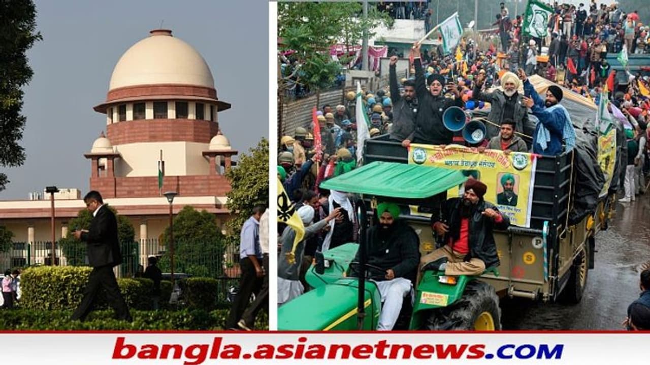 পক্ষপাতিত্বের কথা আসছে কোথা থেকে, কৃষি আইন নিয়ে তৈরি কমিটি ইস্যুতে মন্তব্য প্রধান বিচারপতির পক্ষপাতিত্বের কথা আসছে কোথা থেকে, কৃষি আইন নিয়ে তৈরি কমিটি ইস্যুতে মন্তব্য প্রধান বিচারপতির