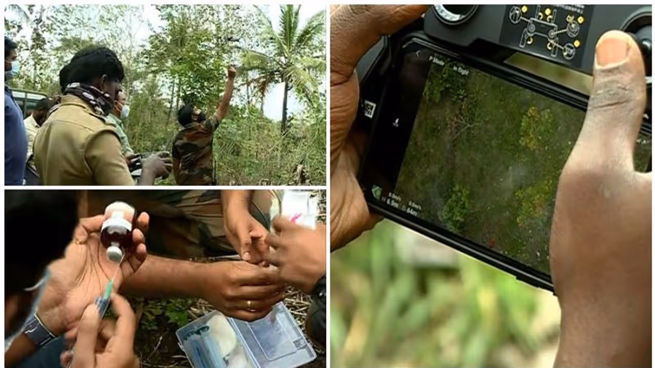 മയക്കുവെടി വെച്ചതിന് പിന്നാലെ കടുവ വീണ്ടും ആക്രമിച്ചു; വാച്ചര്ക്ക് പരിക്ക് മയക്കുവെടി വെച്ചതിന് പിന്നാലെ കടുവ വീണ്ടും ആക്രമിച്ചു; വാച്ചര്ക്ക് പരിക്ക്