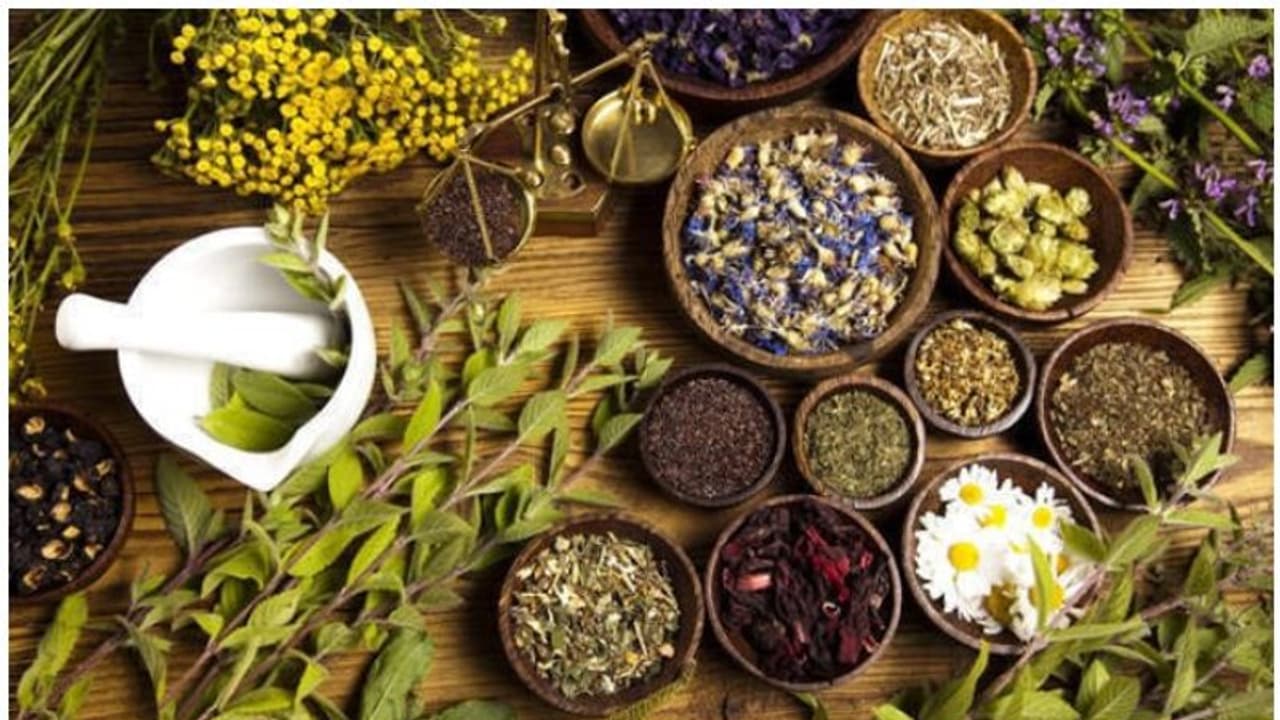 ബോട്ടണിയിൽ ബിരുദമുള്ളവർക്ക് ഔഷധ സസ്യ ബോർഡിൽ നിയമനം