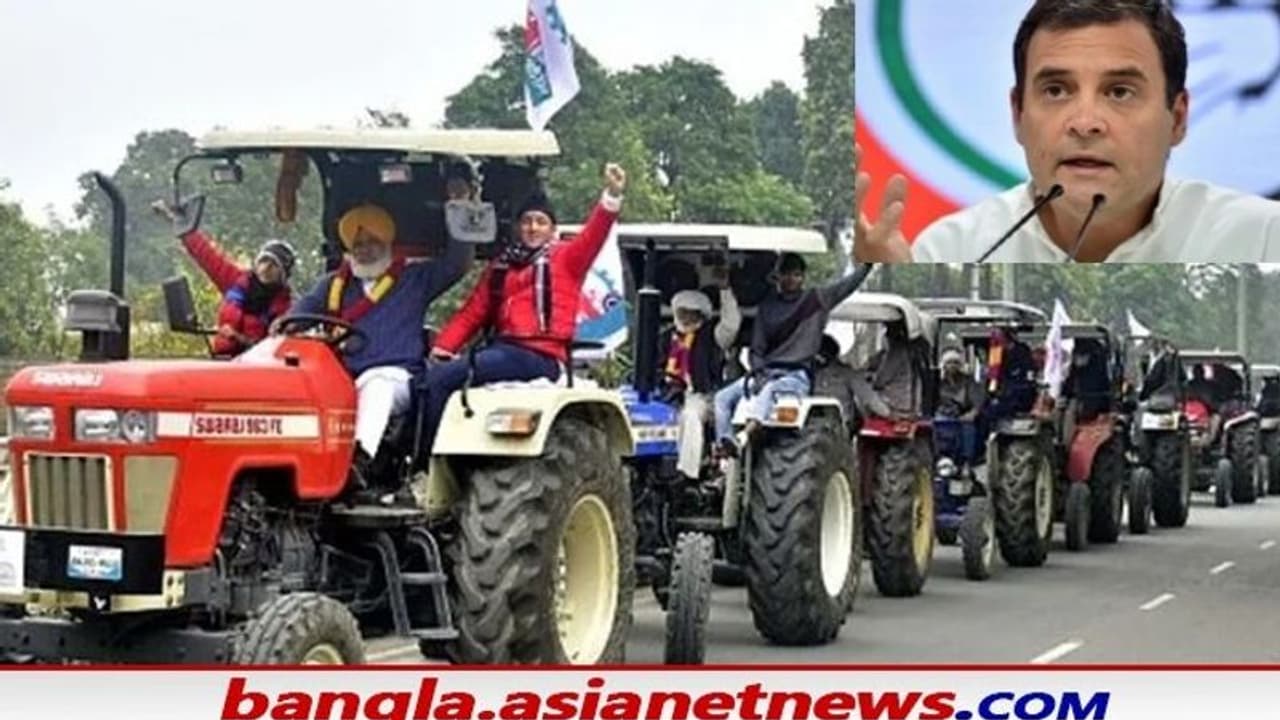 '৬০ জন কৃষকের মৃত্যু কি লজ্জার নয়', প্রশ্ন তুলে মোদী সরকারকে খোঁচা রাহুলের '৬০ জন কৃষকের মৃত্যু কি লজ্জার নয়', প্রশ্ন তুলে মোদী সরকারকে খোঁচা রাহুলের