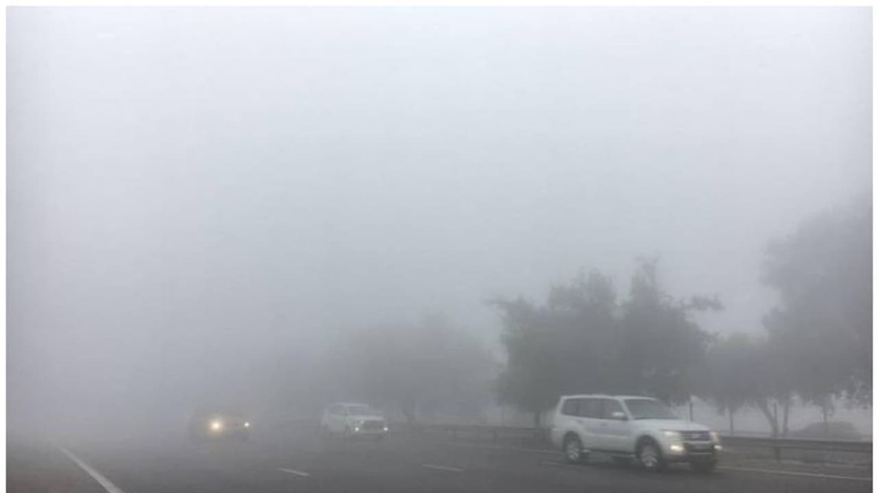 മൂടല്മഞ്ഞ്; യുഎഇ റോഡുകളില് വേഗപരിധി കുറച്ചു മൂടല്മഞ്ഞ്; യുഎഇ റോഡുകളില് വേഗപരിധി കുറച്ചു