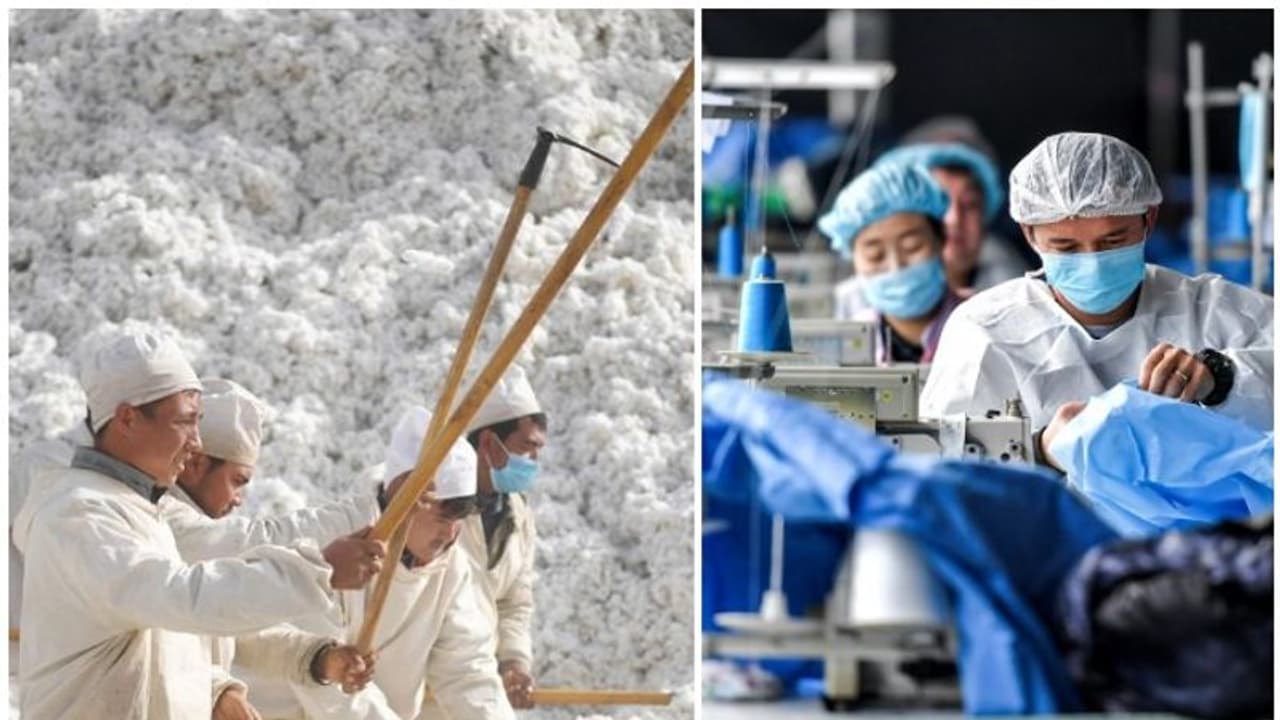 ഉയ്ഗര് മുസ്ലിംകളെ അടിമപ്പണിയെടുപ്പിക്കുന്നു; ഷിൻജാങ്ങിൽ നിന്നുള്ള പരുത്തിക്ക് വിലക്കേർപ്പെടുത്തി അമേരിക്ക ഉയ്ഗര് മുസ്ലിംകളെ അടിമപ്പണിയെടുപ്പിക്കുന്നു; ഷിൻജാങ്ങിൽ നിന്നുള്ള പരുത്തിക്ക് വിലക്കേർപ്പെടുത്തി അമേരിക്ക