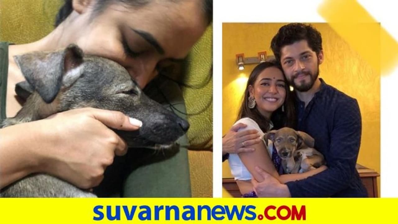 'ಗೋಲಿ' ಕಳೆದುಕೊಂಡ ದುಖಃದಲ್ಲಿ ನಟಿ ಹಿತಾ ಚಂದ್ರಶೇಖರ್; ಭಾವುಕ ಪತ್ರ ವೈರಲ್!