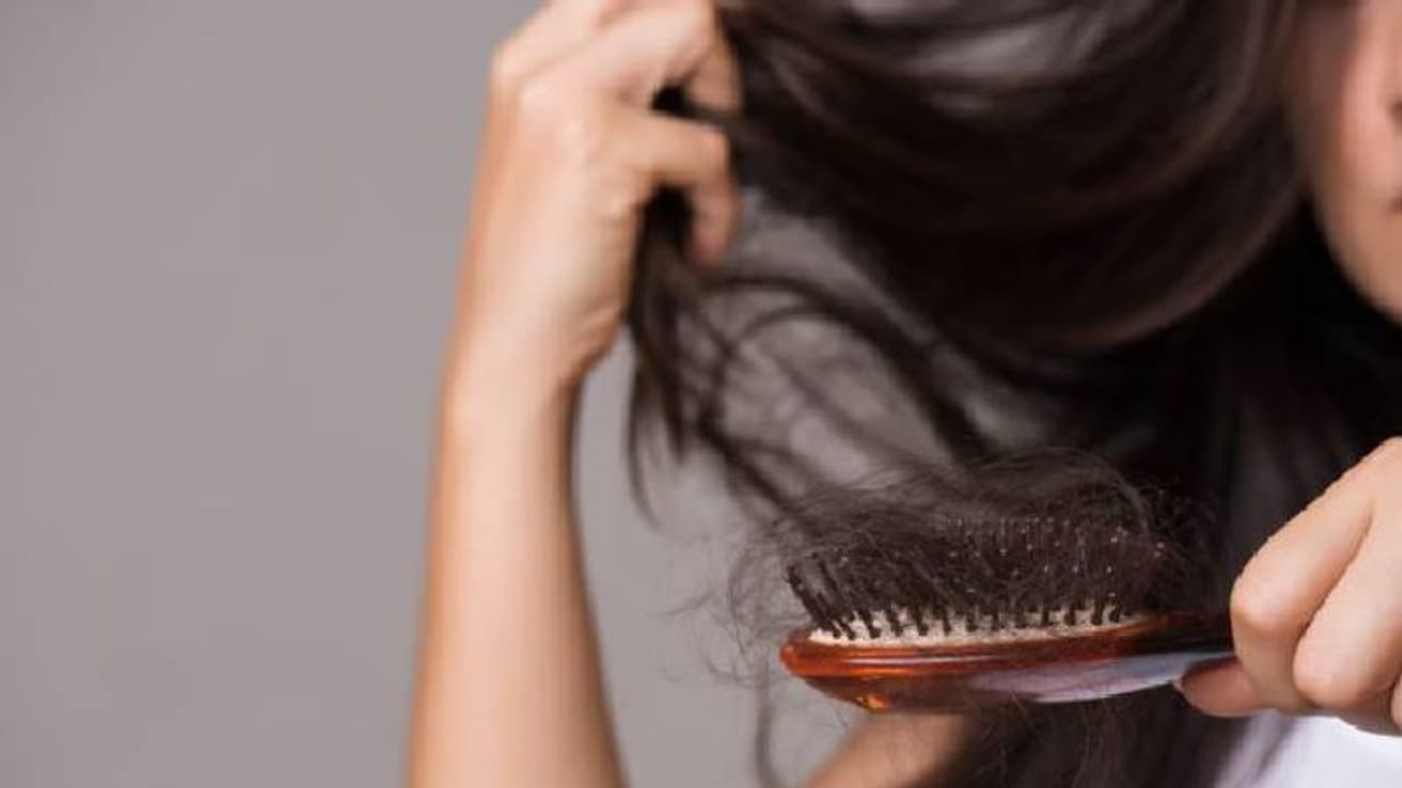 ഈ മൂന്ന് ഭക്ഷണങ്ങൾ കഴിക്കൂ; കൊവിഡിന് ശേഷമുള്ള അമിതമായ മുടി കൊഴിച്ചിൽ കുറയ്ക്കാം ഈ മൂന്ന് ഭക്ഷണങ്ങൾ കഴിക്കൂ; കൊവിഡിന് ശേഷമുള്ള അമിതമായ മുടി കൊഴിച്ചിൽ കുറയ്ക്കാം