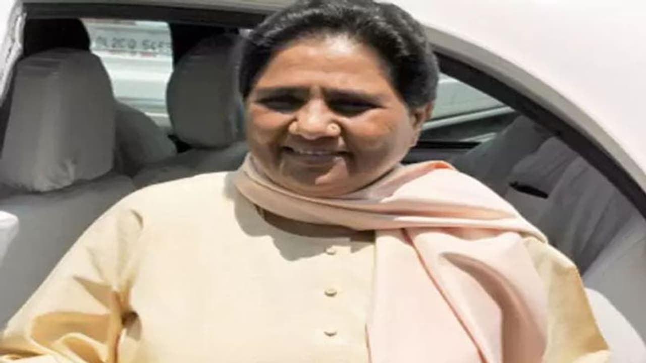 Inside Story: अमेठी में बसपा के 'ब्राह्मण दांव' का DNA टेस्ट, यूपी चुनाव में कैसे वोट साधेंगी मायावती? Inside Story: अमेठी में बसपा के 'ब्राह्मण दांव' का DNA टेस्ट, यूपी चुनाव में कैसे वोट साधेंगी मायावती?