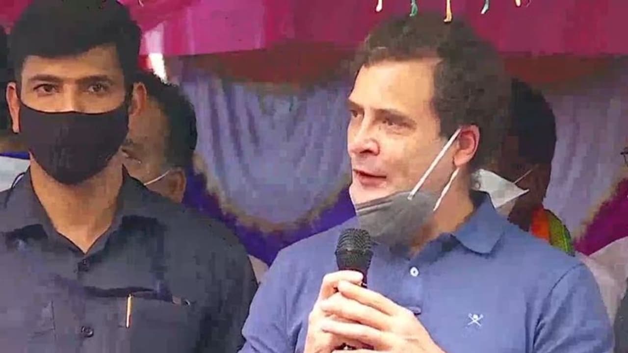 ആരാണ് ജെപി നദ്ദ, ഞാനെന്തിന് അദ്ദേഹത്തിന് ഉത്തരം നല്കണം: രാഹുല് ഗാന്ധി ആരാണ് ജെപി നദ്ദ, ഞാനെന്തിന് അദ്ദേഹത്തിന് ഉത്തരം നല്കണം: രാഹുല് ഗാന്ധി