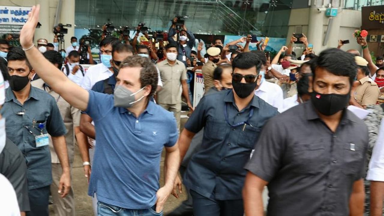 তবে কী তৈরি হচ্ছে পথ, রাহুল গান্ধীকে কংগ্রেসের সভাপতির দায়িত্বে ফেরাতে প্রস্তাব পাশ হল